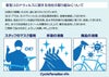 cpo-2007045510-bi-038602075_10.jpg