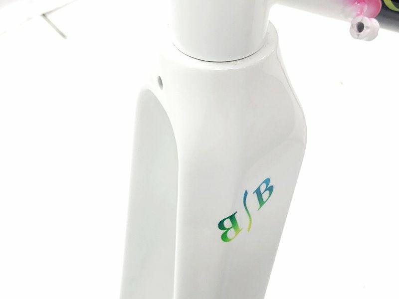 当サイト限定 フレーム BIG SALE】ビチ ビアンチー二 BICI BIANCHINI