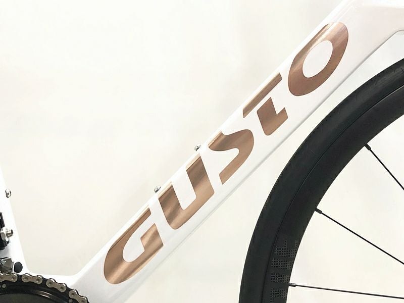 プライスダウン開始】美品 グスト GUSTO コブラ エボ COBRA EVO DISC