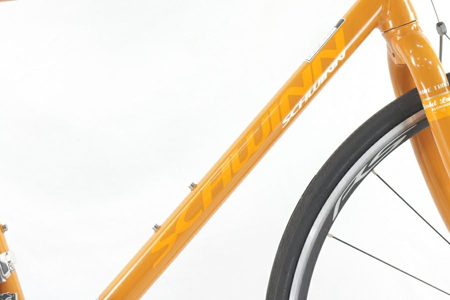 【中古】SCHWINN　シグネチャ　３×８段変速　　税込・整備済 1974 Schwinn Suburban Cruiser Bike 54cm Small Steel 5 Speed USA