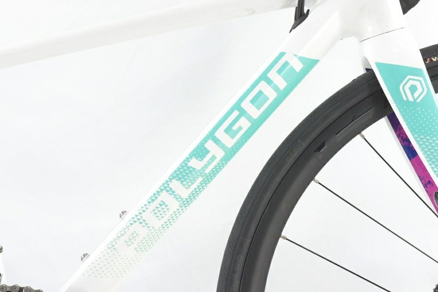 ◇◇ポリゴン POLYGON ストラトス STRATTOS S5 DISC 2024年モデル