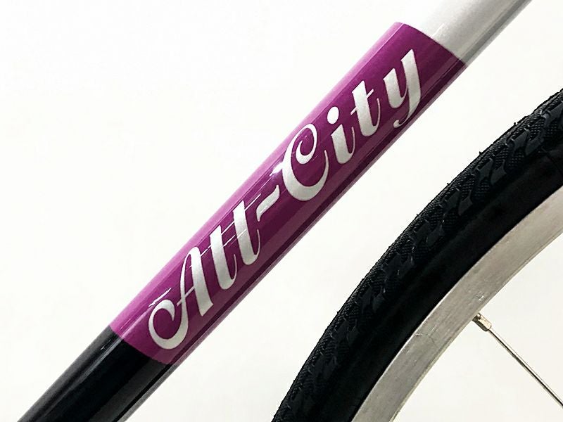 未走行品 ALL-CITY BIG BLOCK 2020年頃 シングルスピード ピストバイク