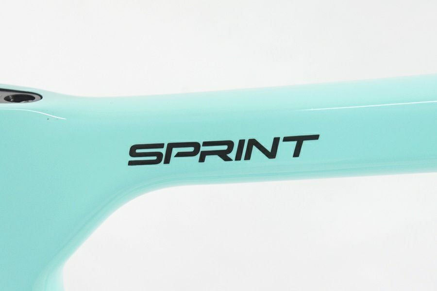 ◇◇未使用 ビアンキ BIANCHI スプリント SPRINT DISC 105 12S 2025年
