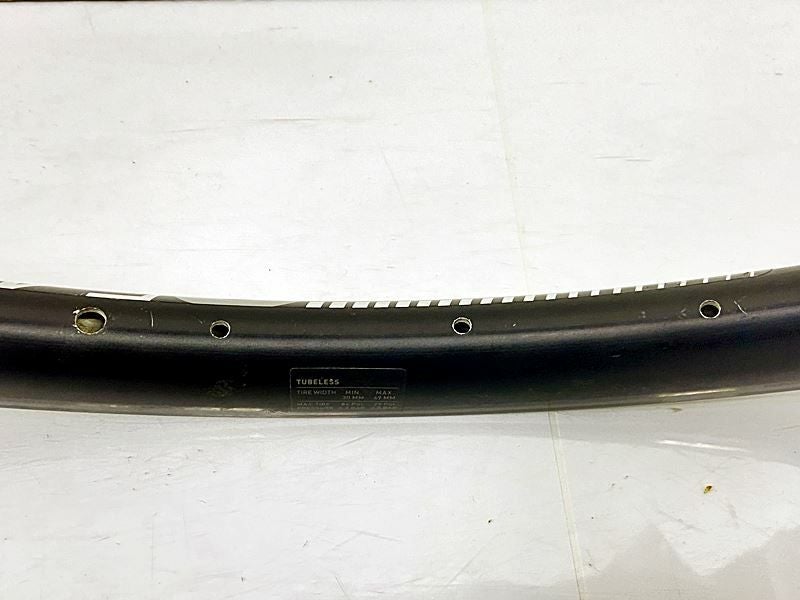 DTスイス DT SWISS G540 DB リム2本セット DISC チューブレスレディ アルミ