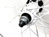 cpj-26031174-pa--26031174_7.jpg