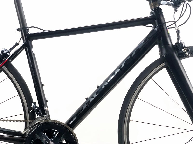 コルナゴ COLNAGO ヴォレイ VORREI SORA フラットバーロード 2019年