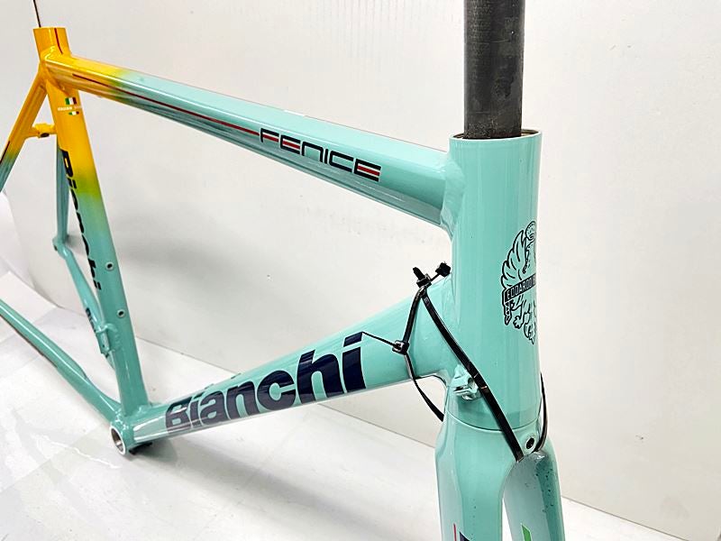ビアンキ BIANCHI フェニーチェプロ FENICE PRO ロード フレームセット