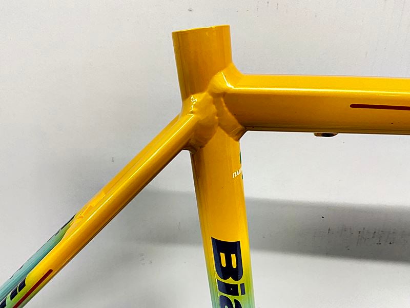 ビアンキ BIANCHI フェニーチェプロ FENICE PRO ロード フレームセット