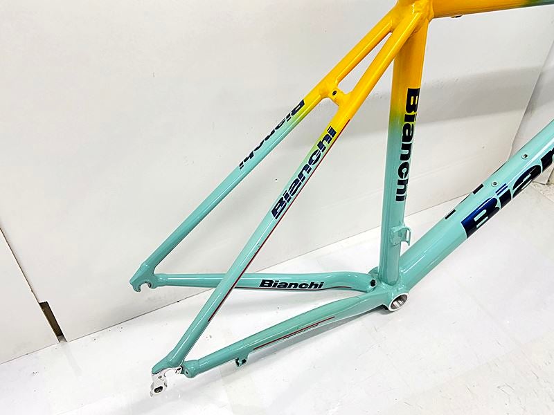 ビアンキ BIANCHI フェニーチェプロ FENICE PRO ロード フレームセット