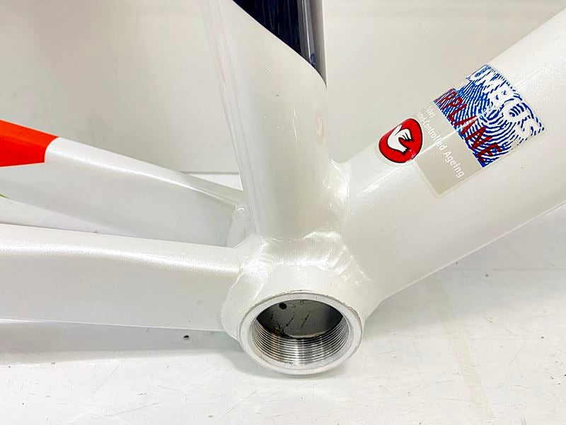 チネリ CINELLI ヴィゴレッリ VIGORELLI ピスト フレームセット 2021年
