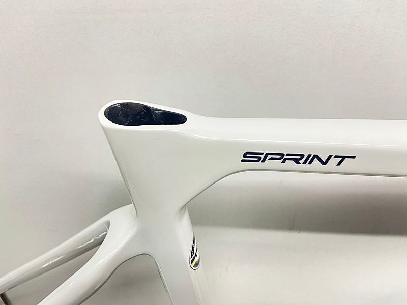 ビアンキ BIANCHI スプリント SPRINT DISC ロード フレームセット 2026