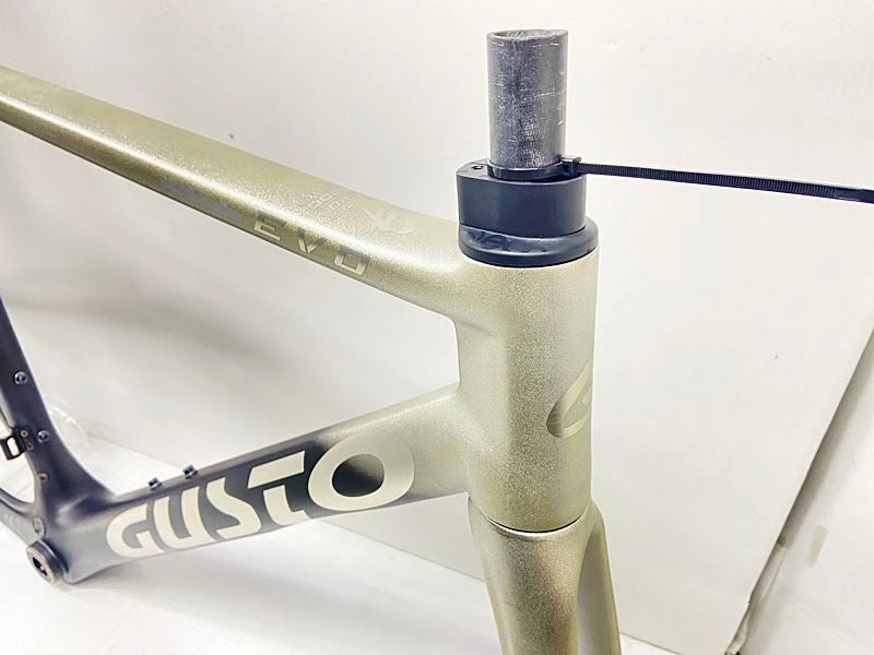 プライスダウン開始】グスト GUSTO レンジャーエヴォ RANGER EVO DISC